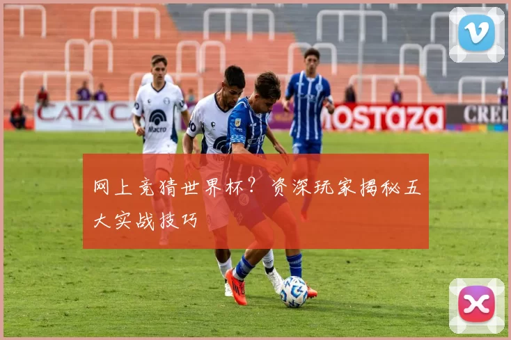 网上竞猜世界杯？资深玩家揭秘五大实战技巧