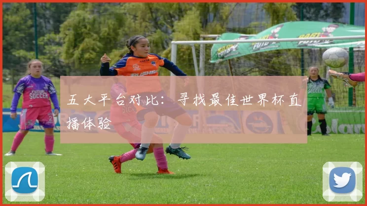 五大平台对比：寻找最佳世界杯直播体验