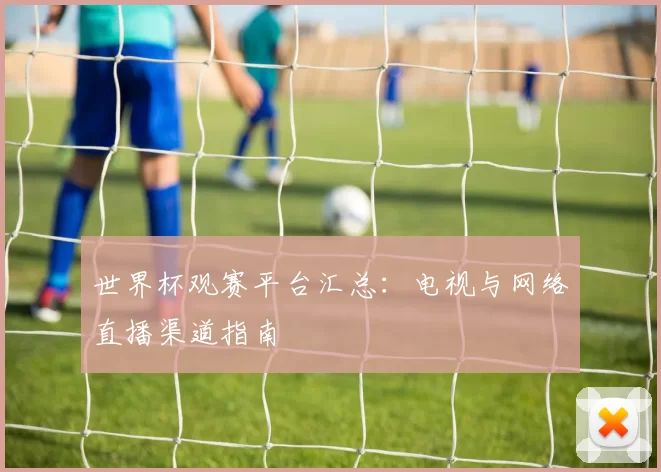世界杯观赛平台汇总:电视与网络直播渠道指南