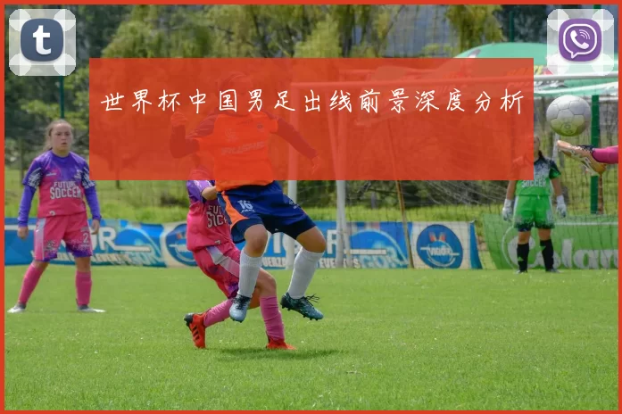世界杯中国男足出线前景深度分析
