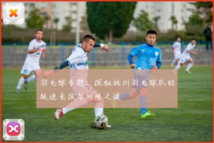 羽毛球专题：探秘杭州羽毛球队的极速竞技与训练之道