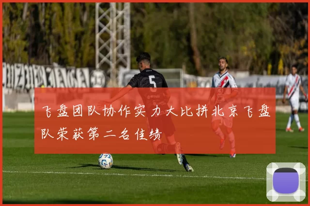 飞盘团队协作实力大比拼北京飞盘队荣获第二名佳绩