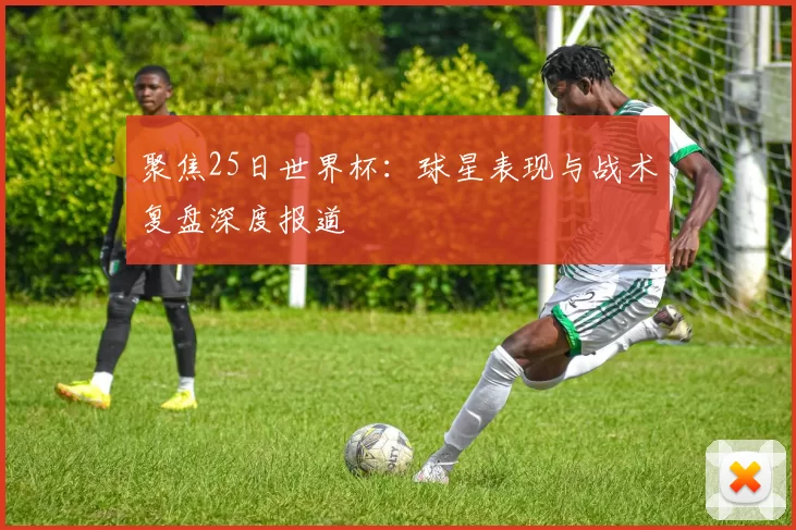 聚焦25日世界杯：球星表现与战术复盘深度报道