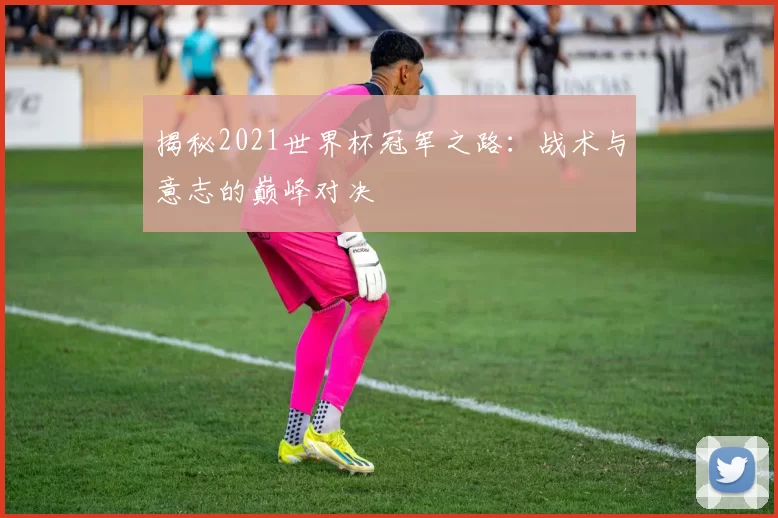 揭秘2021世界杯冠军之路：战术与意志的巅峰对决