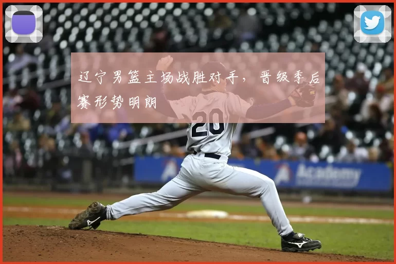 辽宁男篮主场战胜对手，晋级季后赛形势明朗