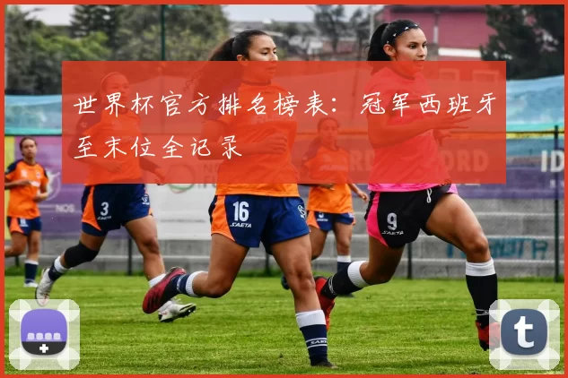 世界杯官方排名榜表:冠军西班牙至末位全记录