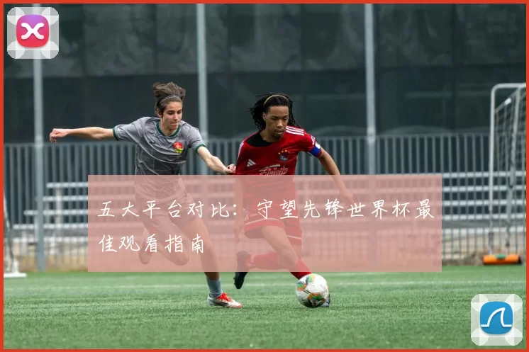 五大平台对比:守望先锋世界杯最佳观看指南