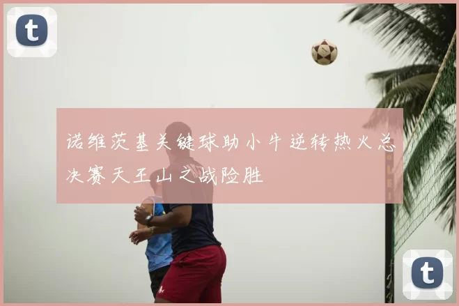 诺维茨基关键球助小牛逆转热火总决赛天王山之战险胜
