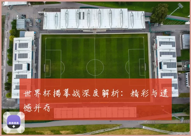 世界杯揭幕战深度解析:精彩与遗憾并存