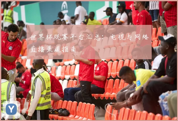 世界杯观赛平台汇总：电视与网络直播渠道指南