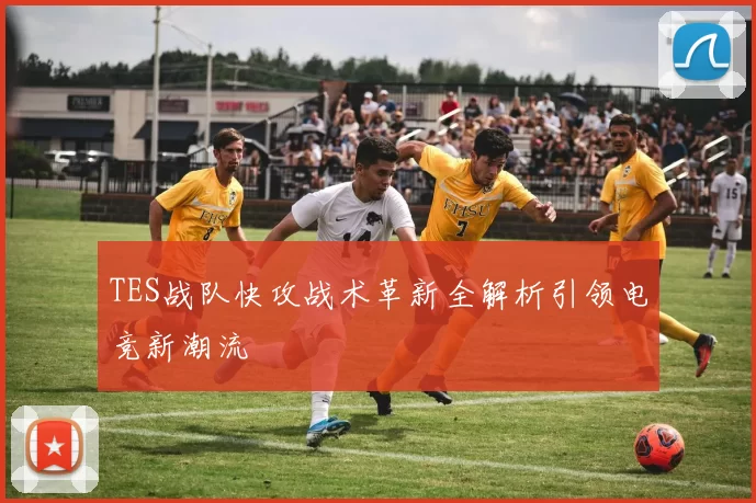 TES战队快攻战术革新全解析引领电竞新潮流